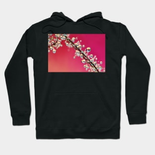 Smoking Pink Drops II Hoodie